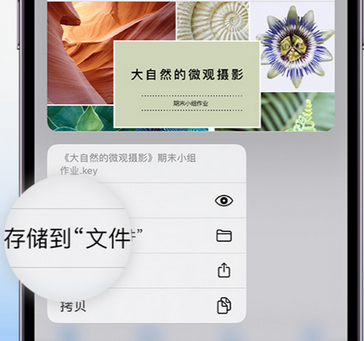 钟山apple维修中心分享iPhone文件应用中存储和找到下载文件