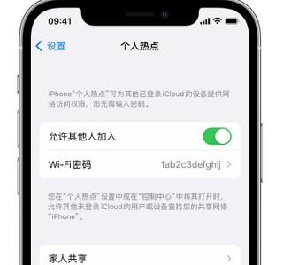 钟山apple服务站点分享iPhone上个人热点丢失了怎么办 