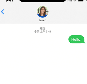 钟山apple维修iPhone上无法正常发送iMessage信息