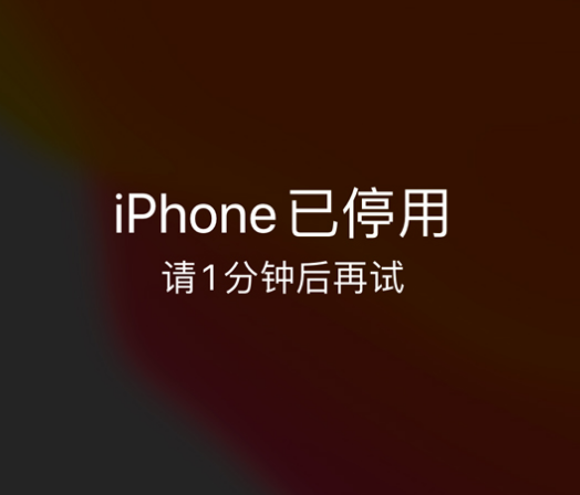 钟山苹果手机维修分享:iPhone 显示“不可用”或“已停用”怎么办？还能保留数据吗？ 