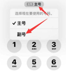 钟山苹果14维修店分享iPhone 14 Pro Max使用副卡打电话的方法 