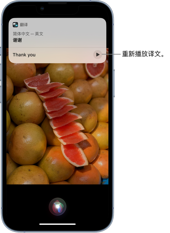 钟山苹果14维修分享 iPhone 14 机型中使用 Siri：了解 Siri 能帮你做什么 