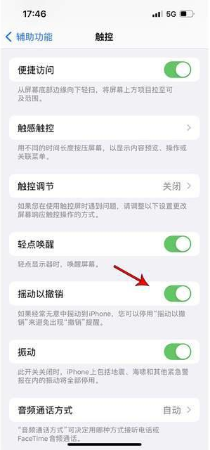 钟山苹果手机维修分享iPhone手机如何设置摇一摇删除文字 