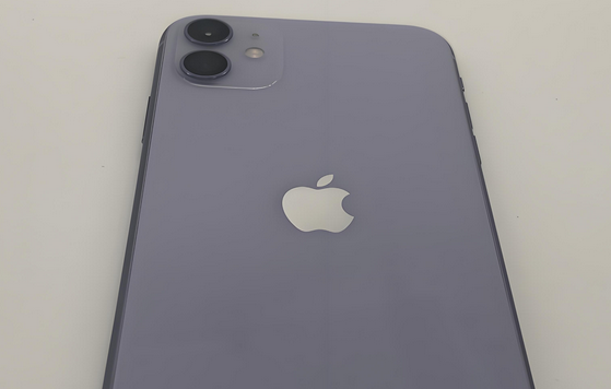 钟山苹果11系统维修分享iPhone11手机系统崩溃无法开机如何解决